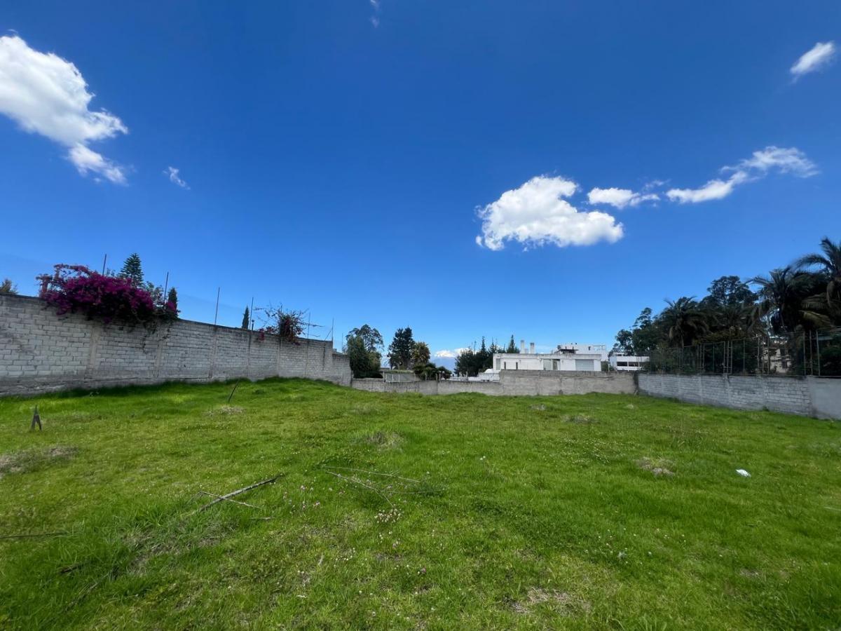 Terreno en Monteserrín — imagen 7