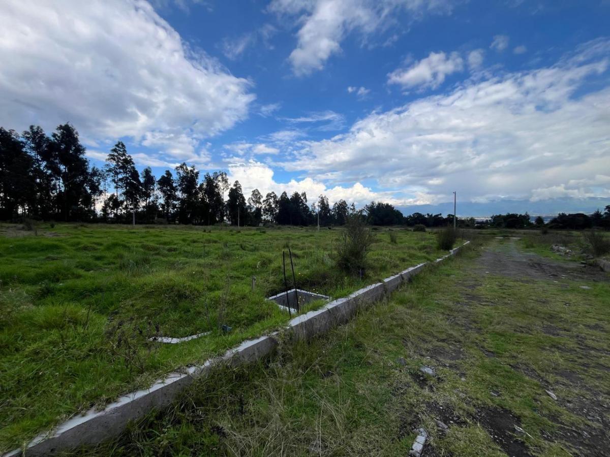 Terreno en Conocoto — imagen 6