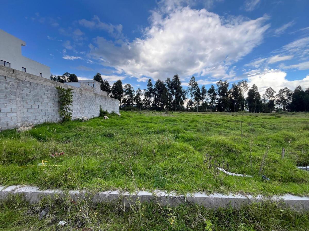 Terreno en Conocoto — imagen 4