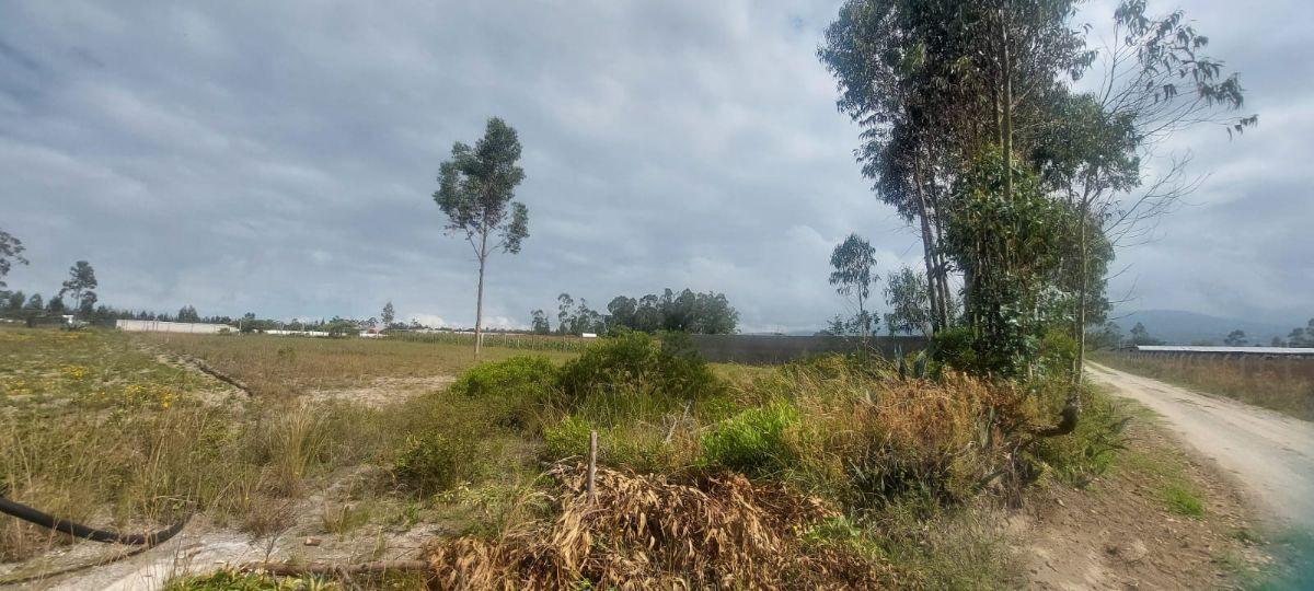 Terreno de Venta en Malchingui — imagen 5