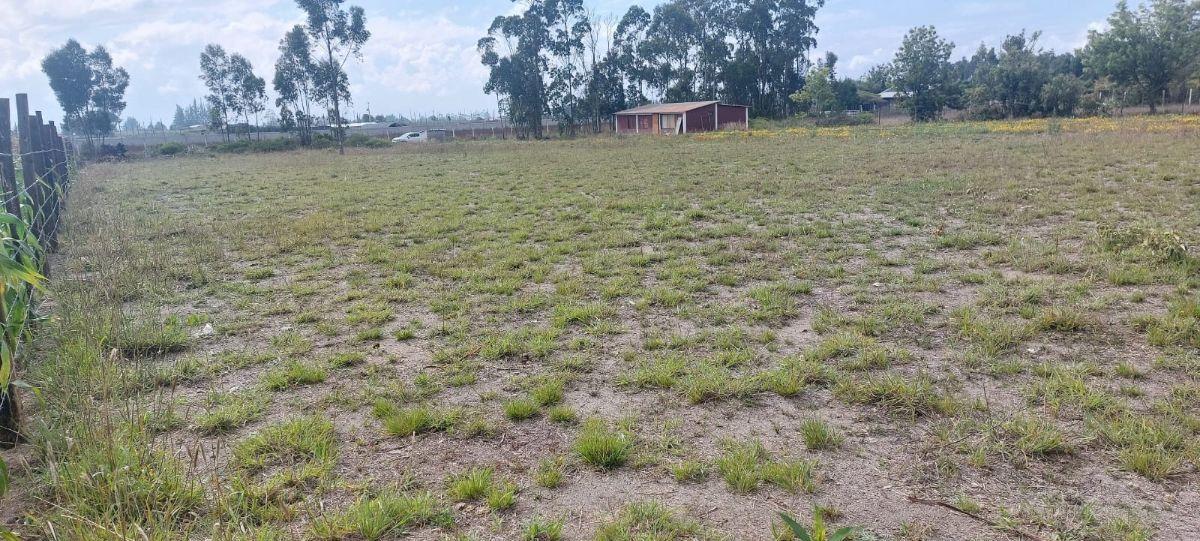 Terreno de Venta en Malchingui — imagen 3