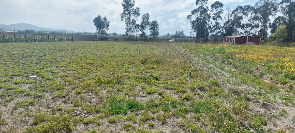 Terreno de Venta en Malchingui — imagen 2
