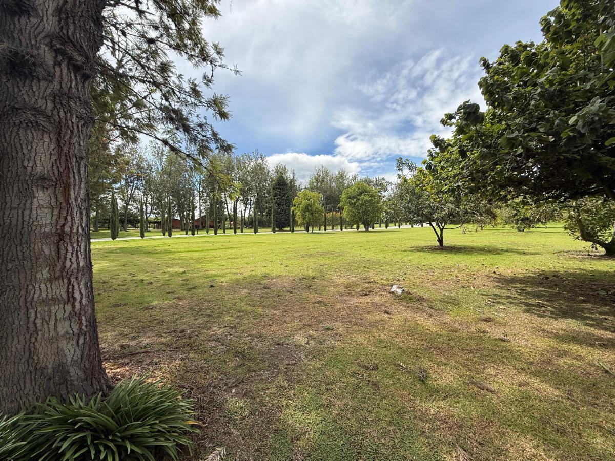 Vendo Excelente Terreno Puembo — imagen 10