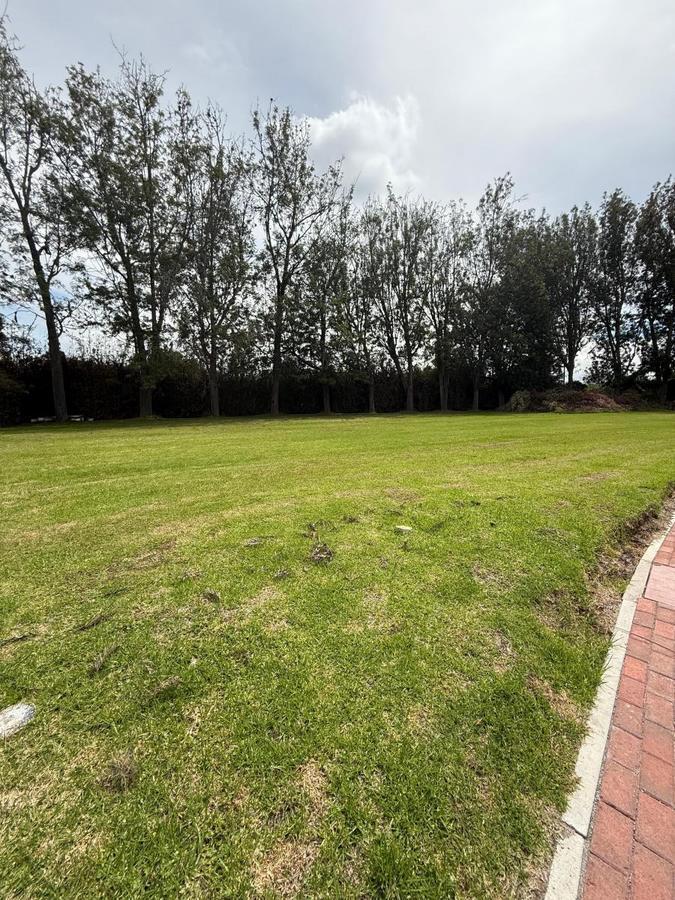 Vendo Excelente Terreno Puembo — imagen 7