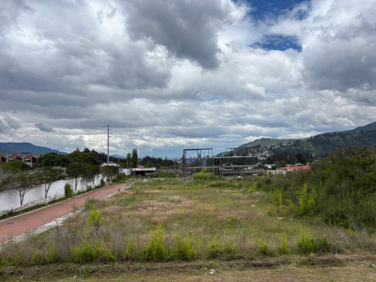 Venta Terreno en La Armenia Puente 3 Dentro de Conjunto — imagen 10
