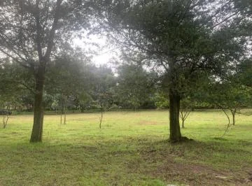 Oportunidad de Inversión en Yaruquí - Terreno de 20.000 m² — imagen 4