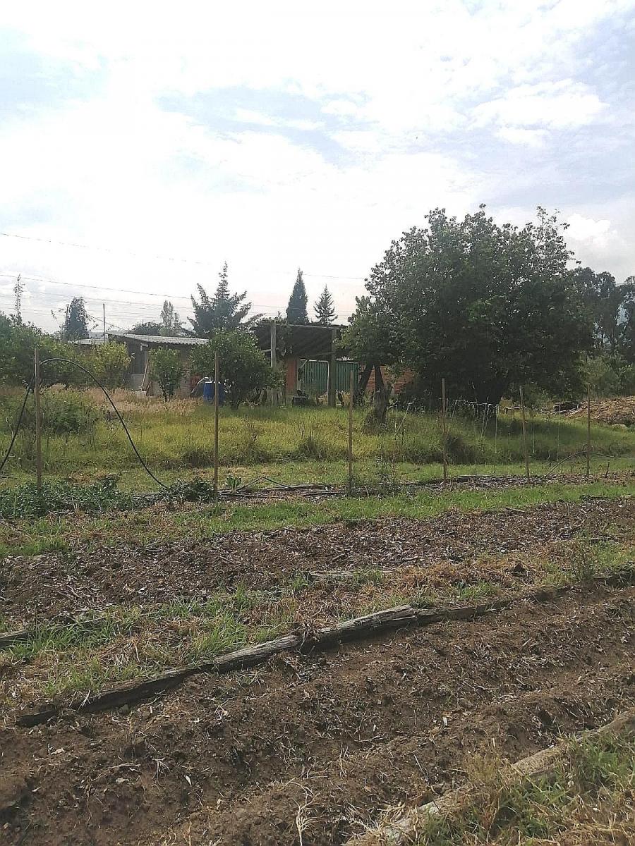 Terreno Plano 6500 m² Sector Santa Rosa en Tumbaco — imagen 9