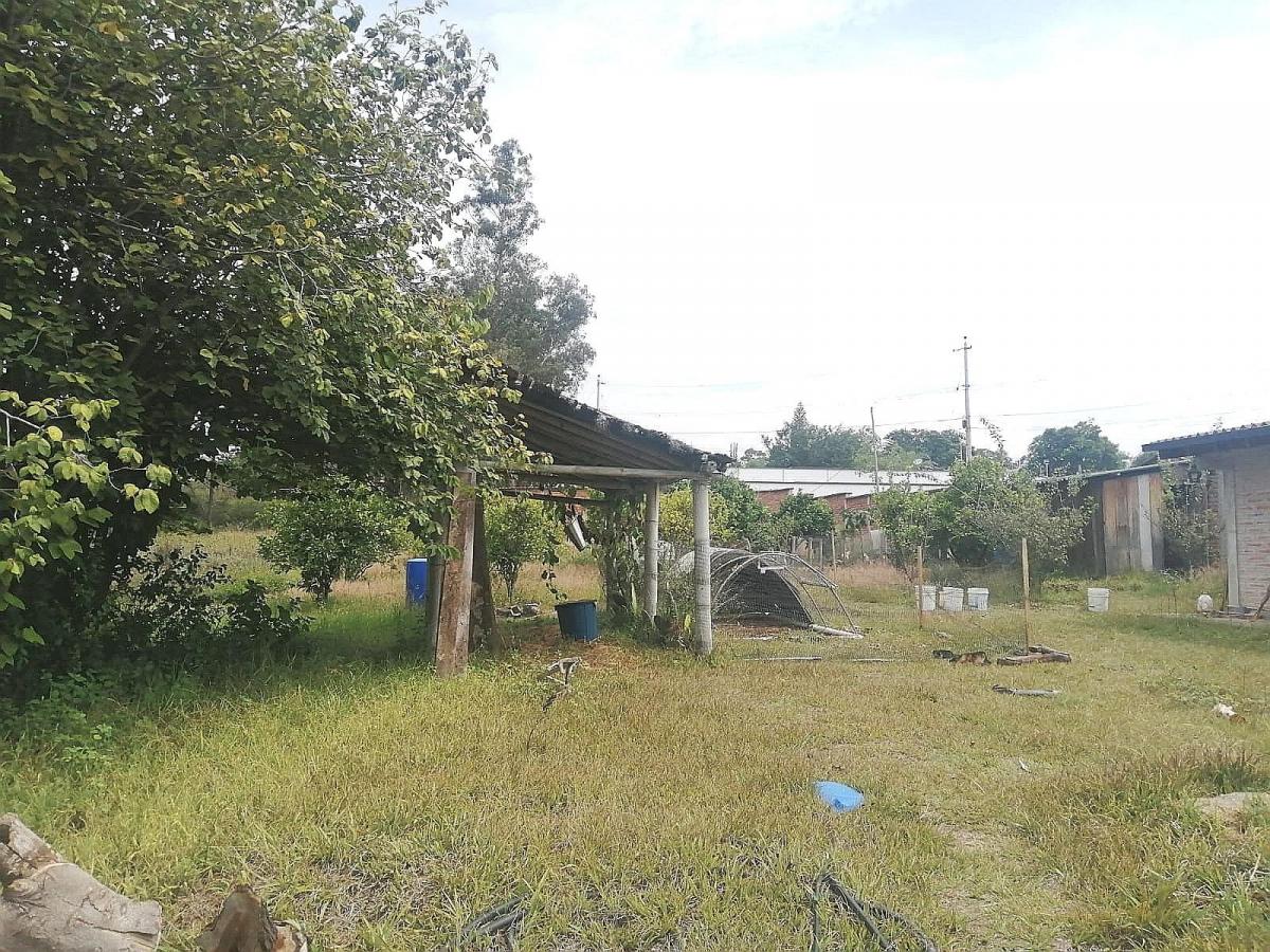Terreno Plano 6500 m² Sector Santa Rosa en Tumbaco — imagen 8
