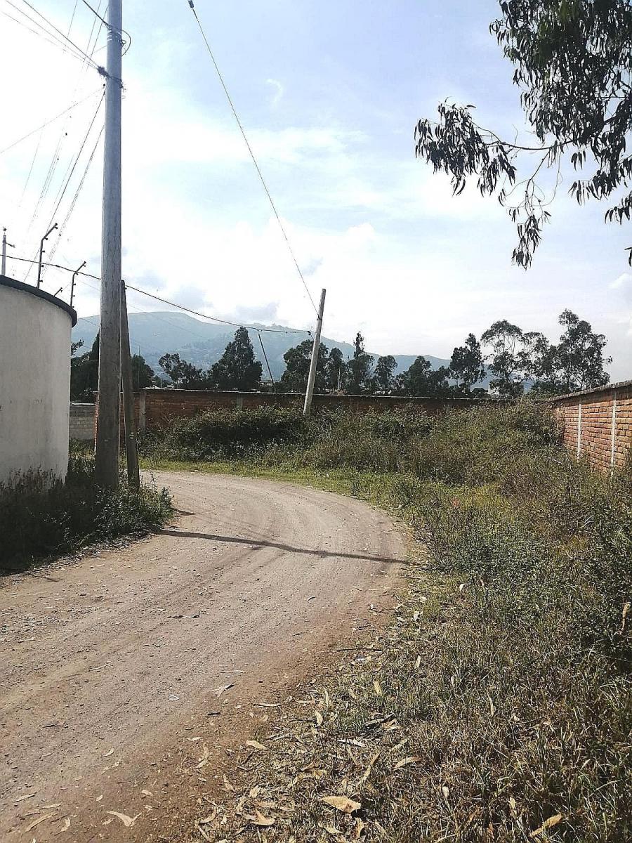 Terreno Plano 6500 m² Sector Santa Rosa en Tumbaco — imagen 6