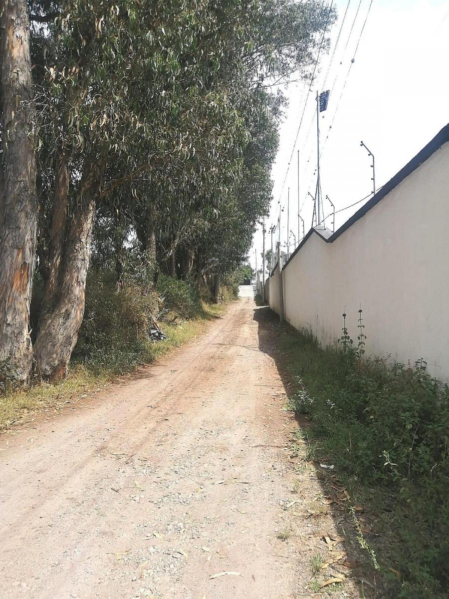 Terreno Plano 6500 m² Sector Santa Rosa en Tumbaco — imagen 2
