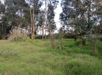 Venta en San Rafael de Terreno Plano Para Diferentes Proyectos — imagen 4