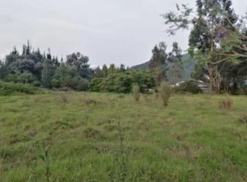 Venta en San Rafael de Terreno Plano Para Diferentes Proyectos — imagen 3