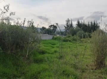 Venta en San Rafael de Terreno Plano Para Diferentes Proyectos — imagen 2