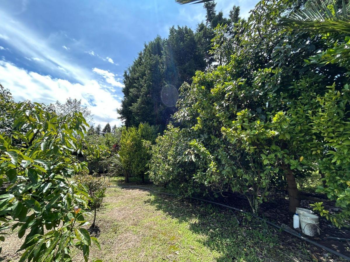 Tereno Para Finca Vacacional — imagen 8