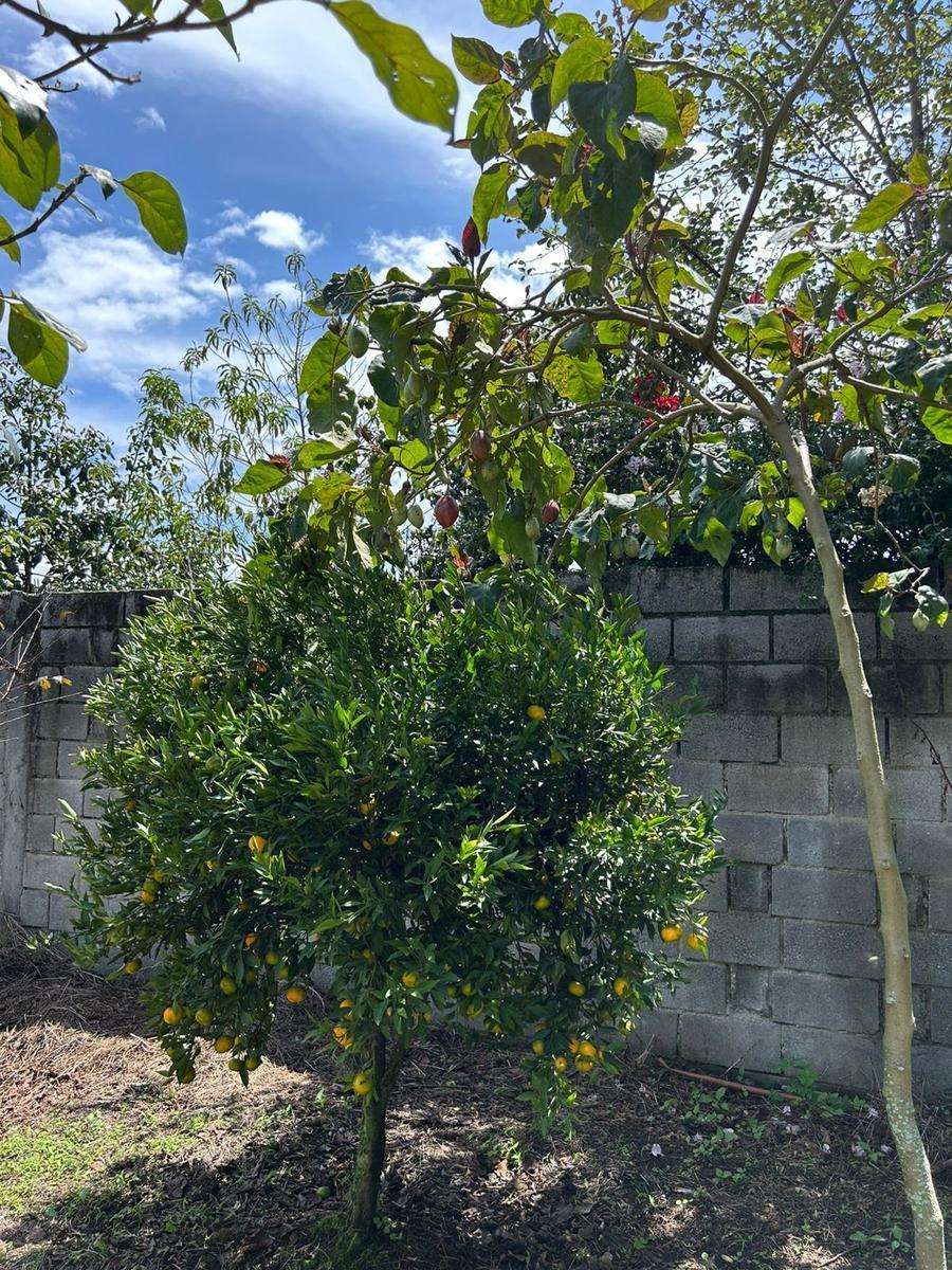 Tereno Para Finca Vacacional — imagen 6