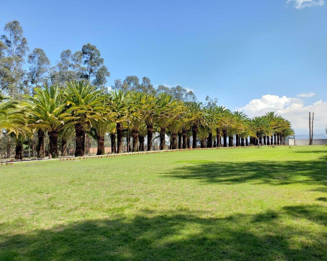 Puembo Terreno de Venta en Urbanizacion Exclusiva — imagen 7