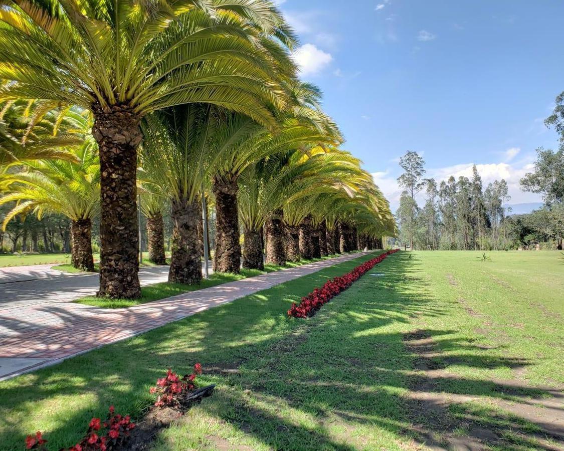 Puembo Terreno de Venta en Urbanizacion Exclusiva — imagen 6