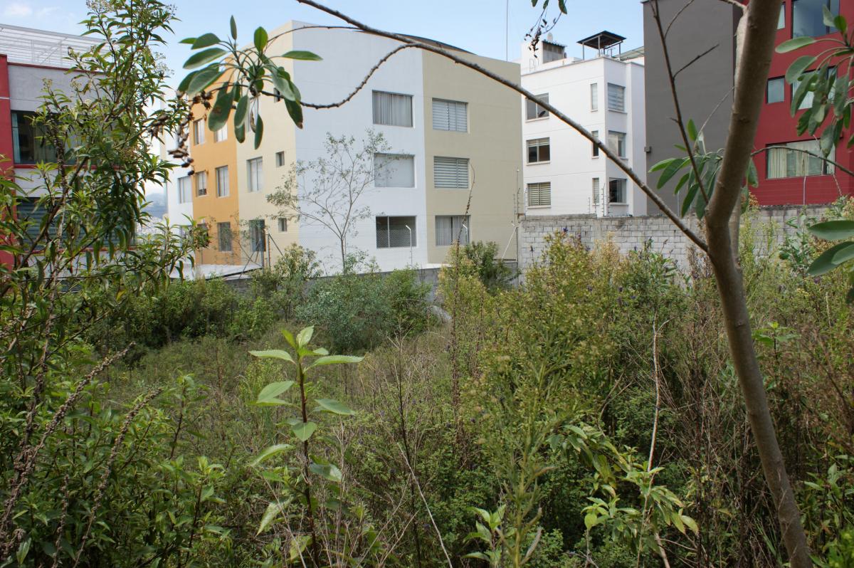 Venta - Terreno - Ponciano - Ponceano - Norte - Quito — imagen 5