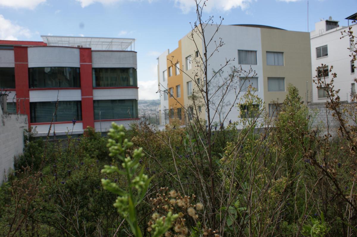 Venta - Terreno - Ponciano - Ponceano - Norte - Quito — imagen 3