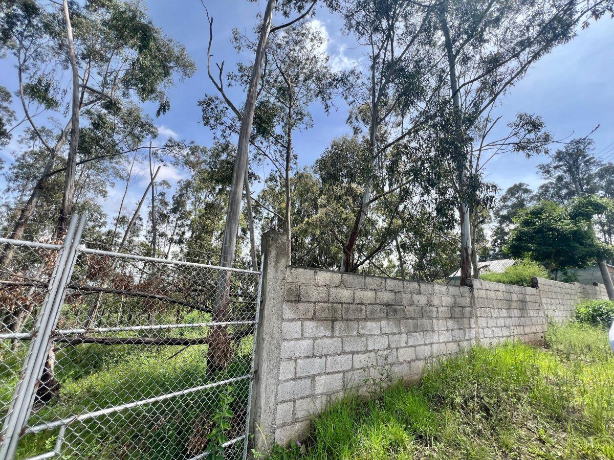 Terreno de Venta en Pifo 804 m² Ciudadela Wilson — imagen 4