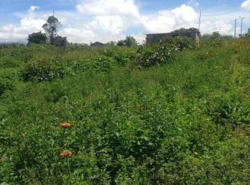 Renta Terreno Excelente Ubicación, Sector San Antonio de Ibarra, Imbabura — imagen 2