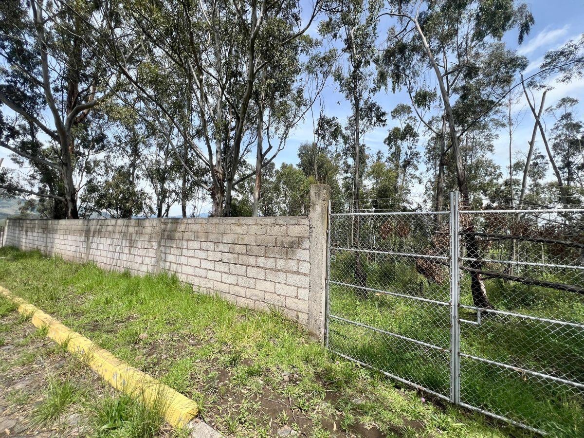 Terreno de Venta en Pifo 918,4 m² Ciudadela Wilson — imagen 7