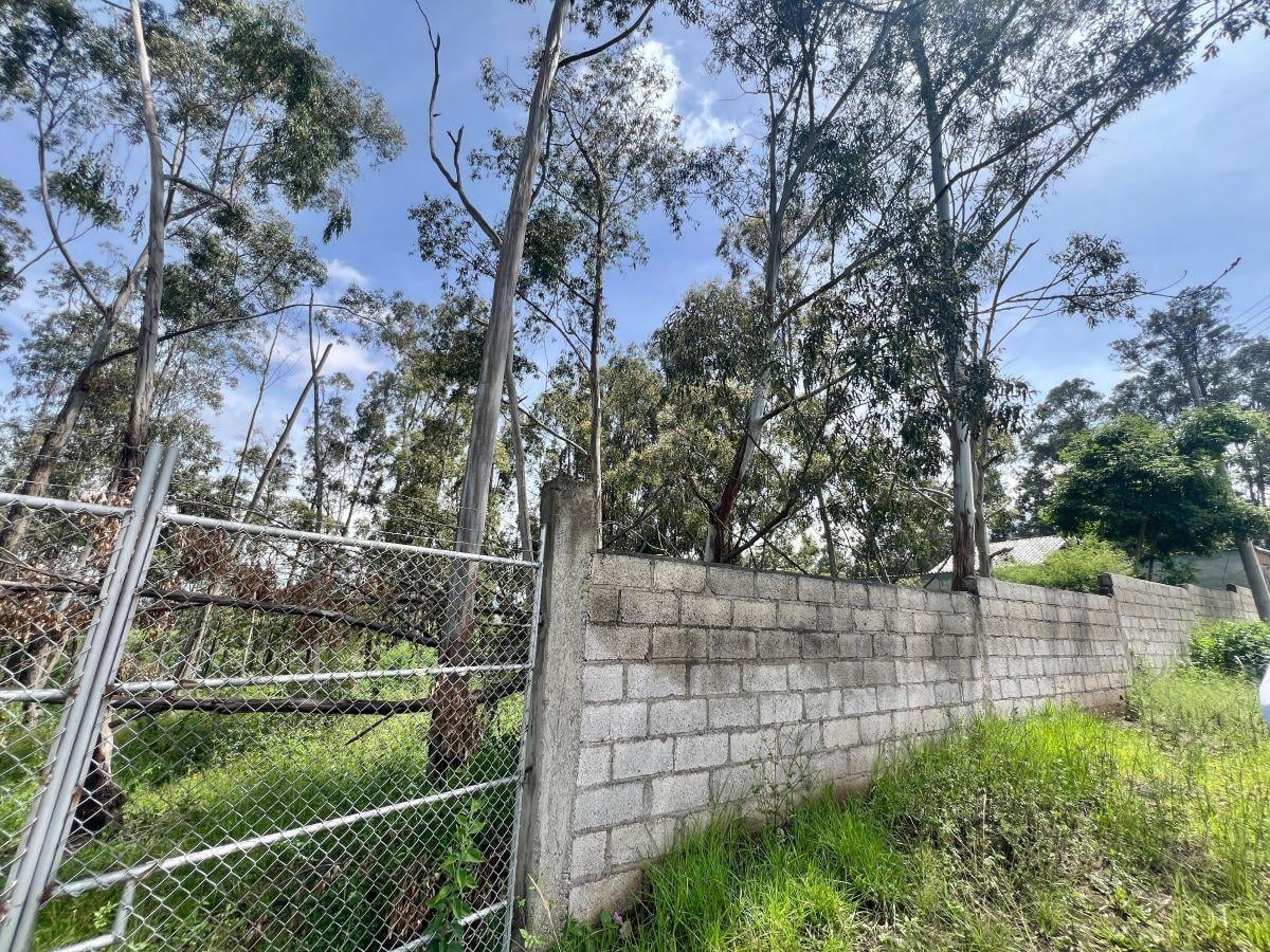 Terreno de Venta en Pifo 918,4 m² Ciudadela Wilson — imagen 2