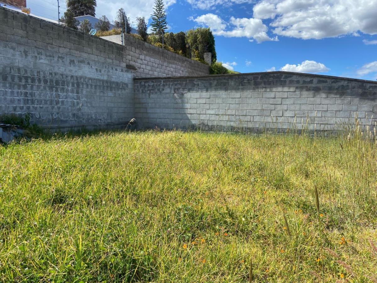 Terreno con Proyecto Aprobado Para Casa en Miravalle — imagen 2