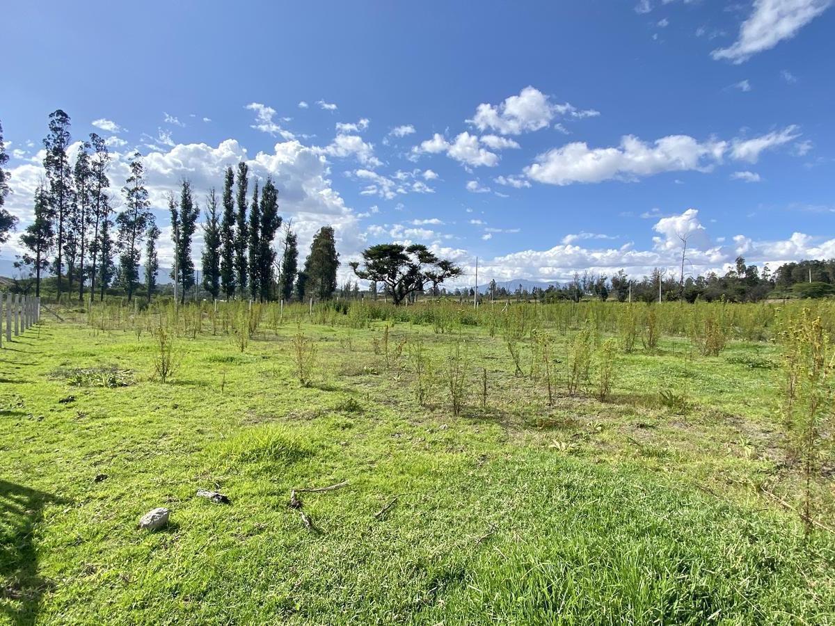 Terreno de Venta en Puembo Para Inversión ($90 C/m²) — imagen 2