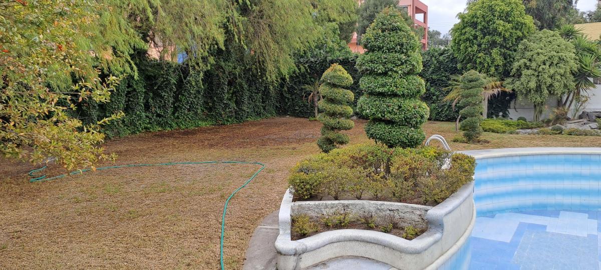 Vendo Casa Sector Pusuqui — imagen 8