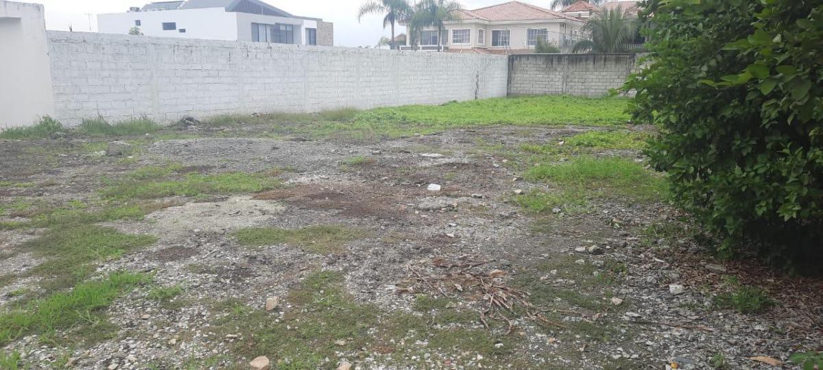 Terreno Bifamiliar en Venta, Urbanización Portofino, Vía a La Costa, Guayas — imagen 6