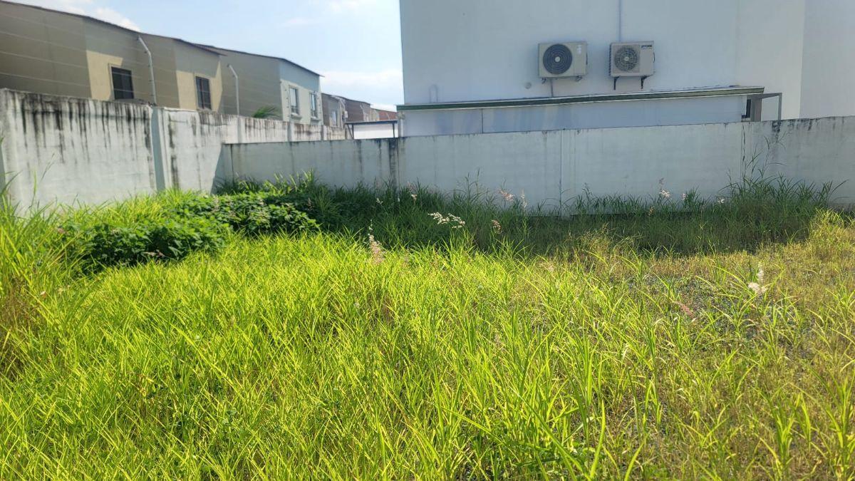 Casa de Estreno en Venta en La Rioja Av Leon Febres Cordero - Mae. Recalde, Guayas — imagen 2