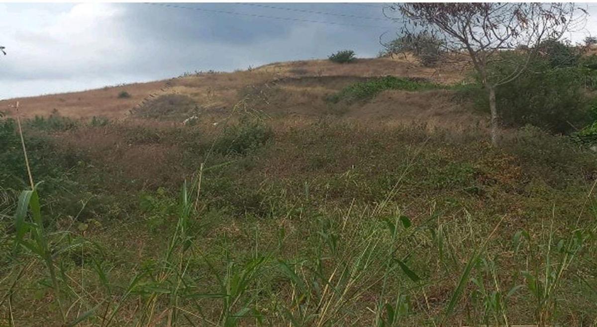 Terreno 6000 m² de Venta en La Vía Portoviejo Manta A/r, Manabí — imagen 5