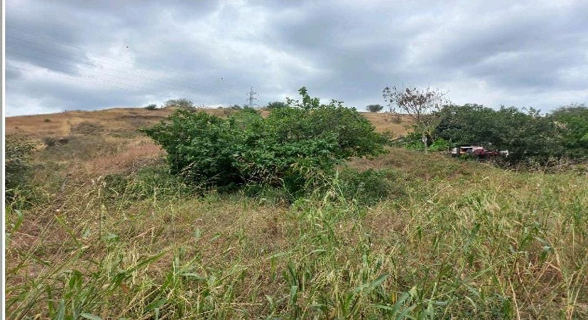 Terreno 6000 m² de Venta en La Vía Portoviejo Manta A/r, Manabí — imagen 4