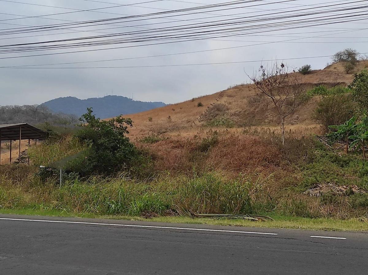 Terreno 6000 m² de Venta en La Vía Portoviejo Manta A/r, Manabí — imagen 3