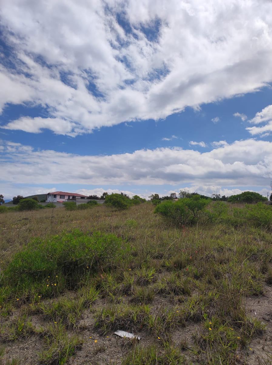 Terreno Independiente en Venta en Malchinguí, Entorno de Urbanizaciones Privadas — imagen 5