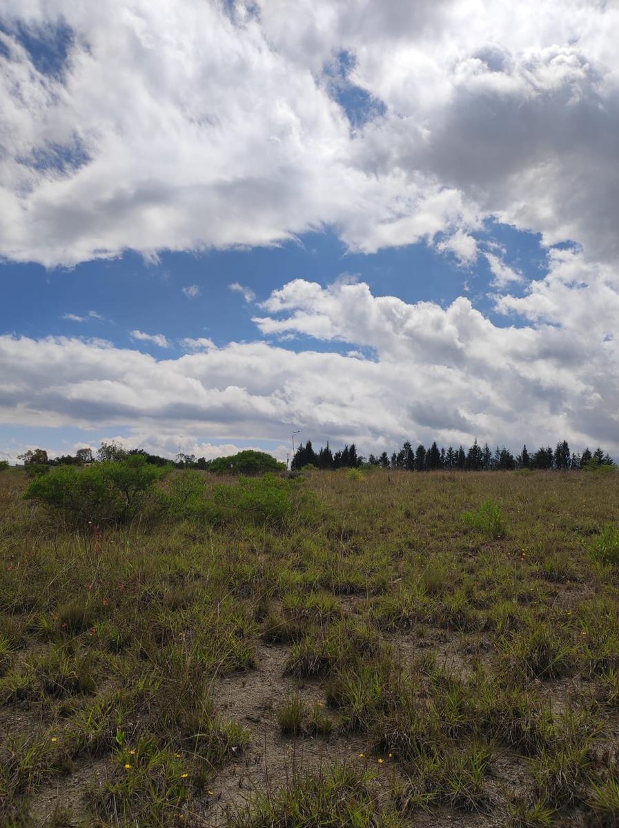 Terreno Independiente en Venta en Malchinguí, Entorno de Urbanizaciones Privadas — imagen 4