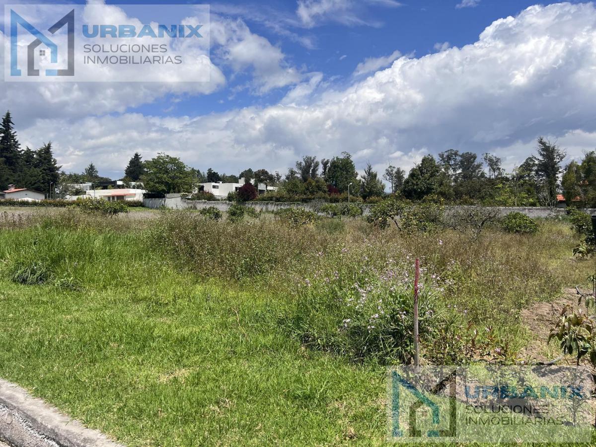 Terreno en Puembo — imagen 7