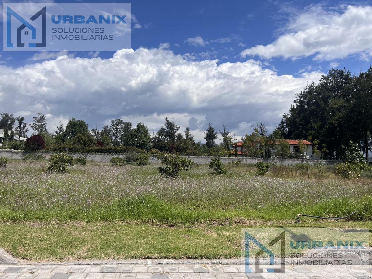 Terreno en Puembo — imagen 6