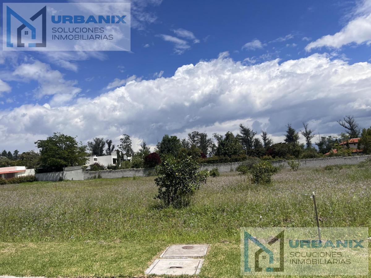 Terreno en Puembo — imagen 5