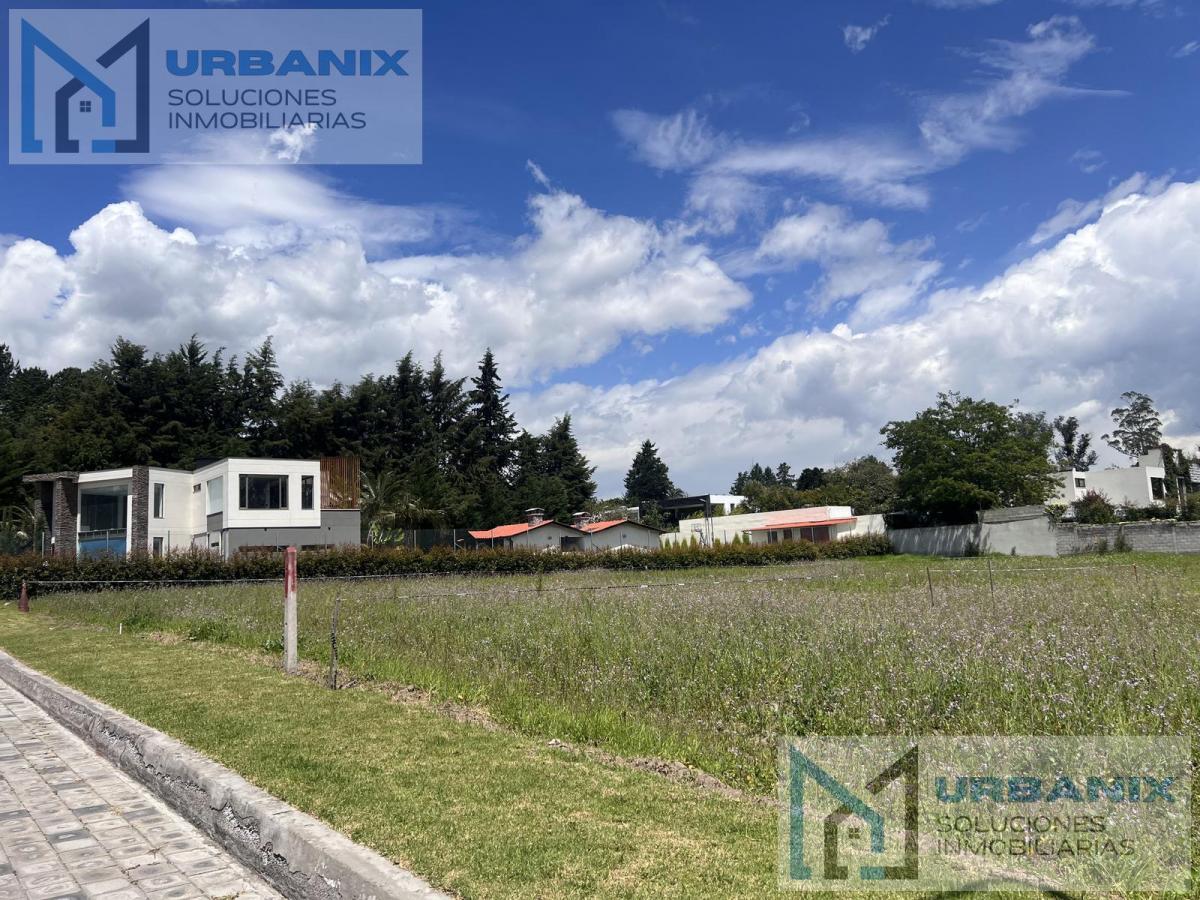 Terreno en Puembo — imagen 4