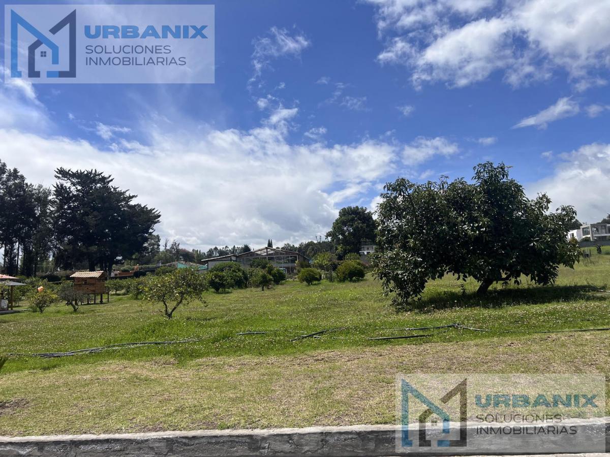Terreno en Puembo — imagen 3