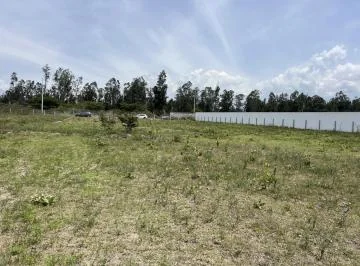 Venta 8 Terrenos en Puembo en Lotización de Primara — imagen 3