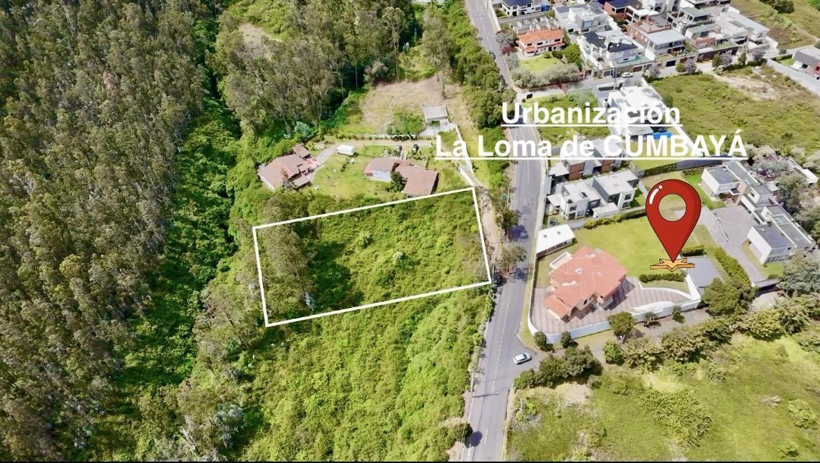 Cumbaya Terreno en Venta 2779 m² — imagen 10