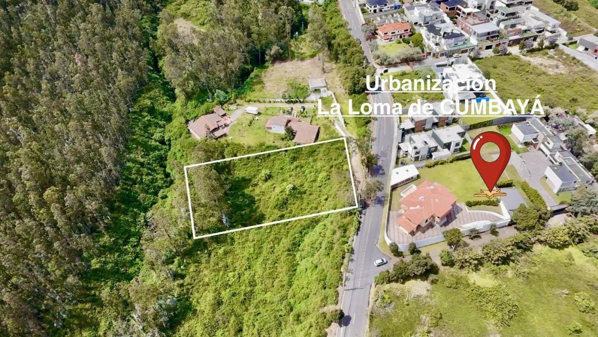 Cumbaya Terreno en Venta 2779 m² — imagen 9