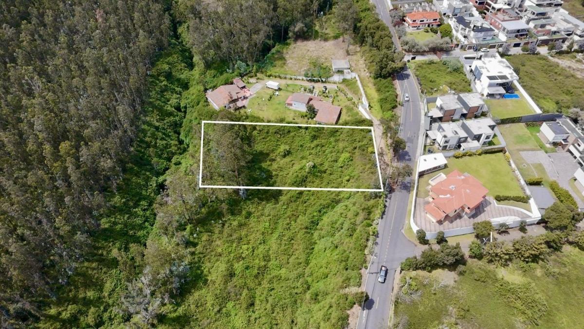 Cumbaya Terreno en Venta 2779 m² — imagen 7