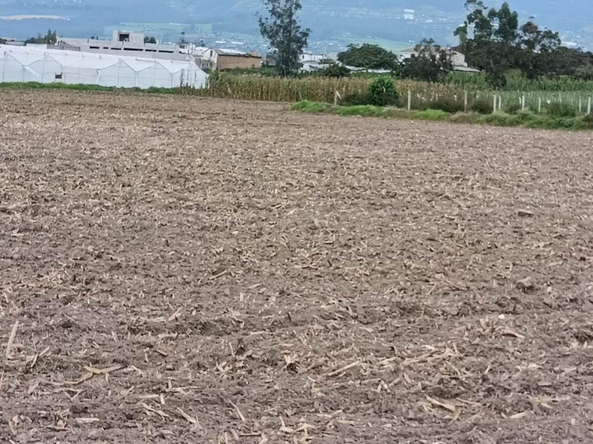 Terreno - Atuntaqui, Imbabura — imagen 7