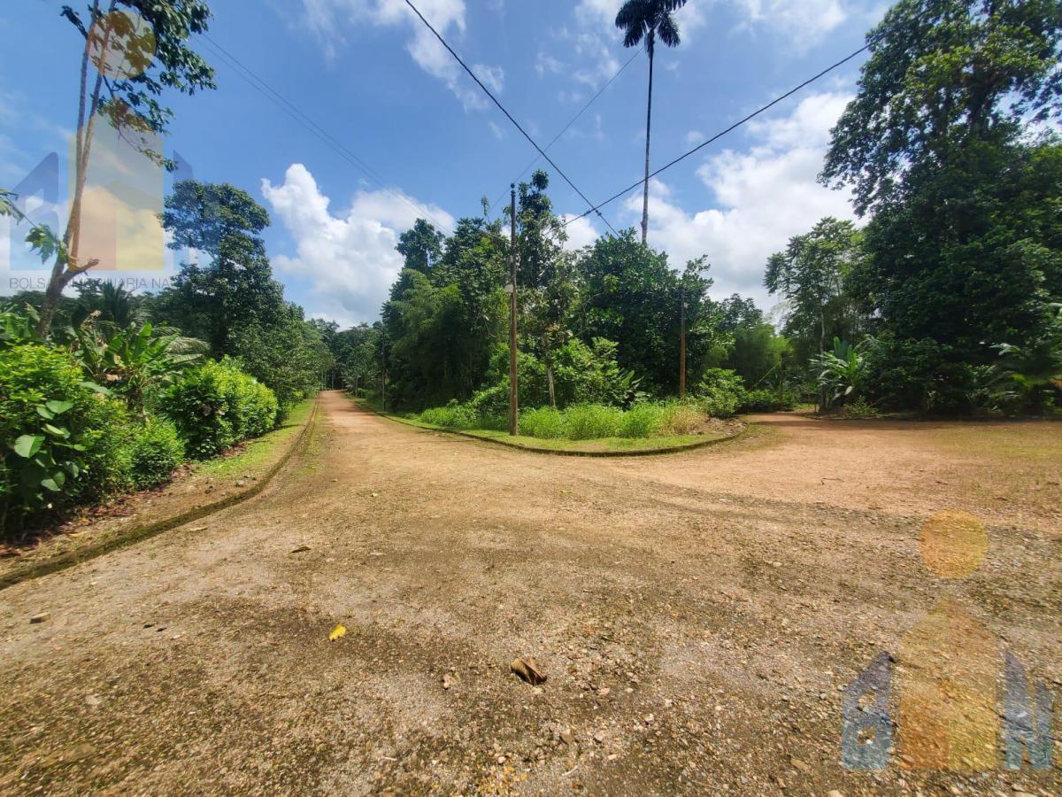 Terreno en Venta Sector Puerto Quito Kilometro 135 Vía a Los Bancos — imagen 10