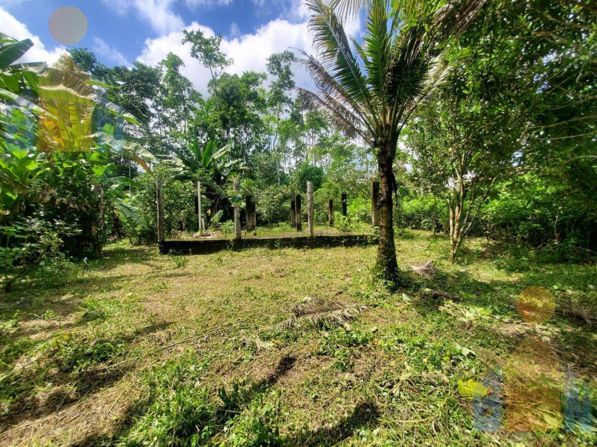 Terreno en Venta Sector Puerto Quito Kilometro 135 Vía a Los Bancos — imagen 9