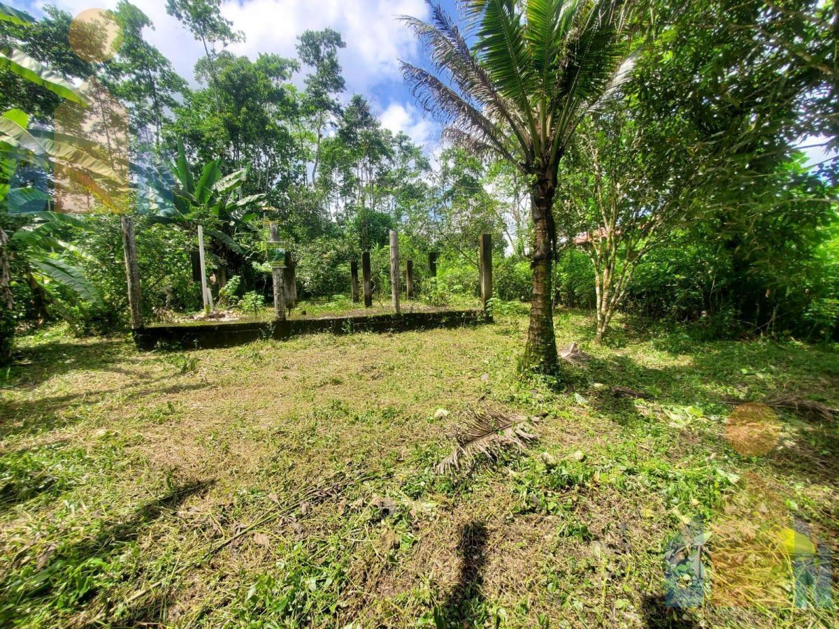 Terreno en Venta Sector Puerto Quito Kilometro 135 Vía a Los Bancos — imagen 8